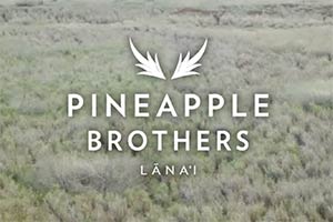 The Pineapple Brothers